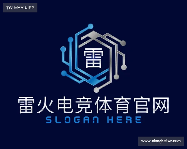 了解&#x96f7;&#x706b;&#x7ade;&#x6280;&#x5e73;&#x53f0;